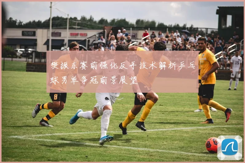 樊振东赛前强化反手技术解析乒乓球男单争冠前景展望